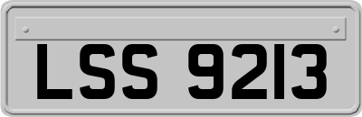 LSS9213