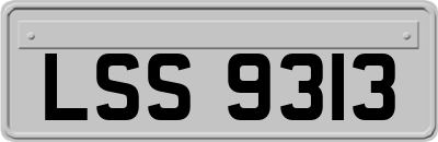 LSS9313