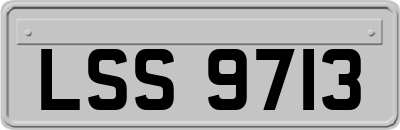 LSS9713