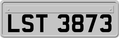 LST3873