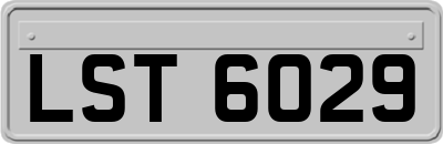 LST6029