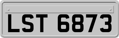 LST6873