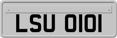 LSU0101