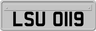 LSU0119