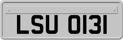 LSU0131
