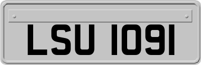 LSU1091