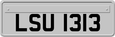 LSU1313