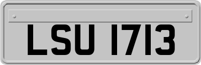 LSU1713