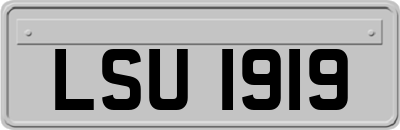 LSU1919