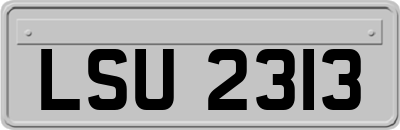 LSU2313