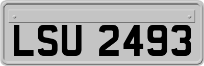 LSU2493