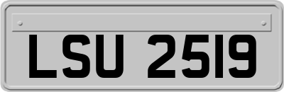 LSU2519