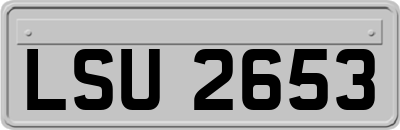 LSU2653