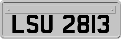 LSU2813