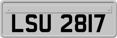 LSU2817