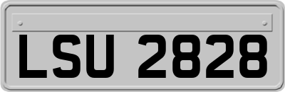 LSU2828