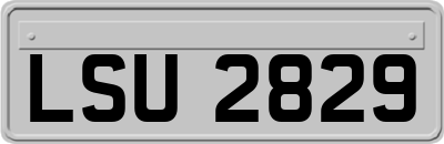 LSU2829