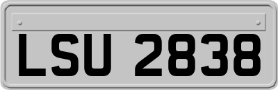 LSU2838