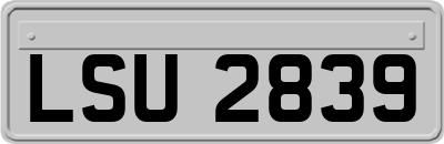 LSU2839