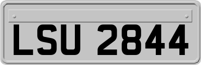 LSU2844