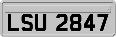 LSU2847