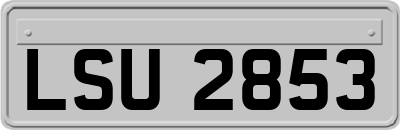 LSU2853