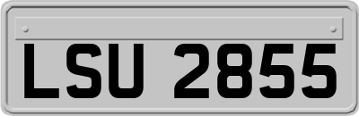 LSU2855