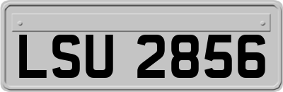LSU2856