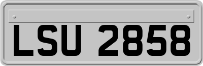 LSU2858
