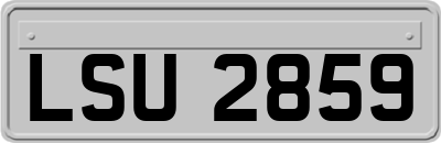 LSU2859