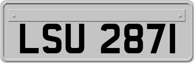 LSU2871
