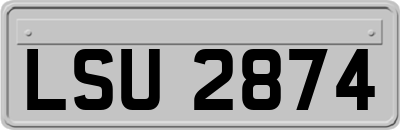 LSU2874