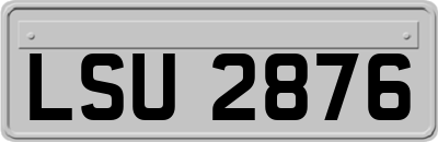 LSU2876