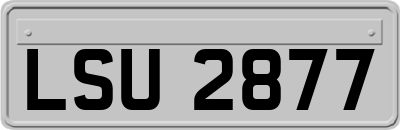 LSU2877