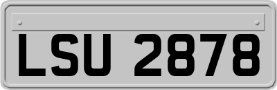LSU2878