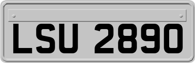 LSU2890