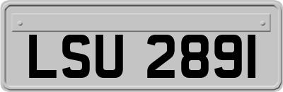 LSU2891