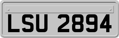 LSU2894