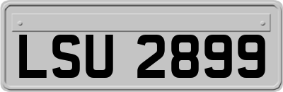 LSU2899