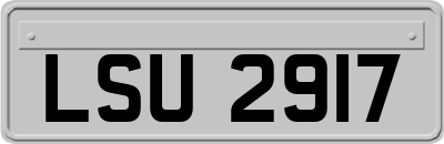 LSU2917