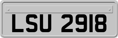 LSU2918