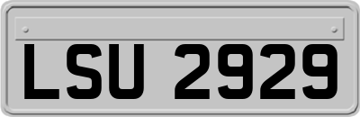 LSU2929
