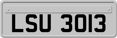 LSU3013