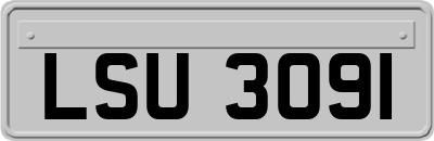 LSU3091