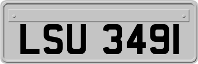 LSU3491