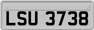 LSU3738