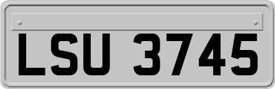 LSU3745