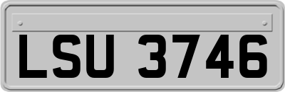 LSU3746