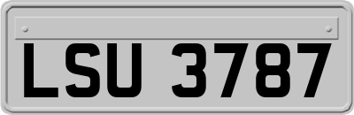 LSU3787