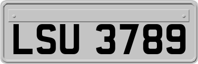 LSU3789
